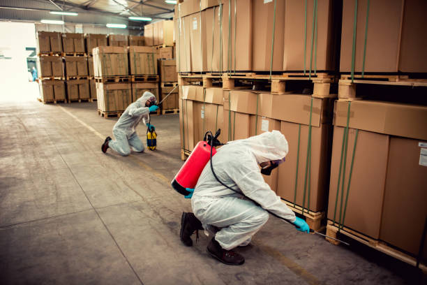 Best Affordable Pest Control Services  in Moweaqua, IL