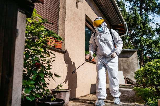 Trusted Moweaqua, IL Pest Control Experts