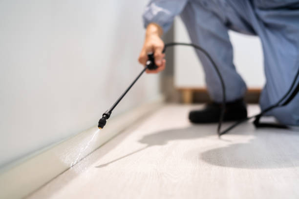Best Termite Control Services  in Moweaqua, IL