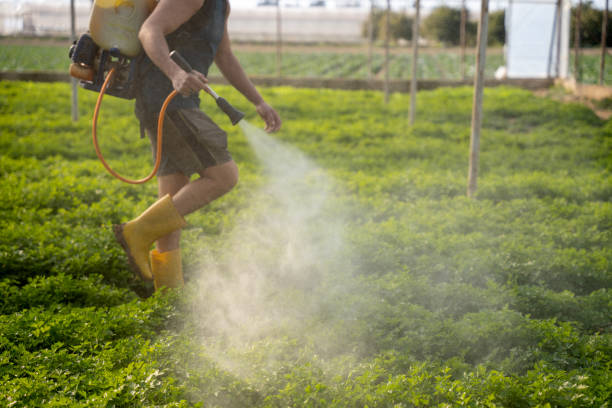 Best Pest Removal Services  in Moweaqua, IL