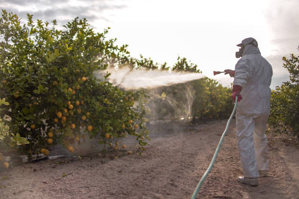 Best Residential Pest Control  in Moweaqua, IL