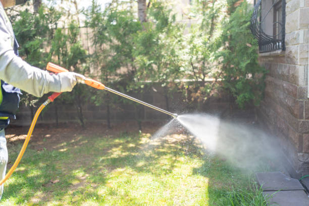 Best Mosquito Control Services  in Moweaqua, IL