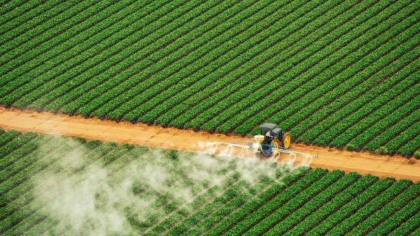 Best Commercial Pest Control Services  in Moweaqua, IL