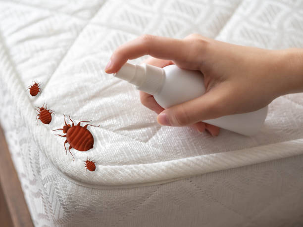 Pest Control Cost in Moweaqua, IL